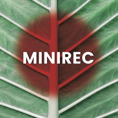 MiniREC, Festival Internacional de Cinema de Tarragona, REC, 2020 MiniREC, Festival Internacional de Cinema de Tarragona, REC, 2020