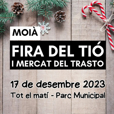 Fira del Tió de Moià, 2023 Fira del Tió de Moià, 2023