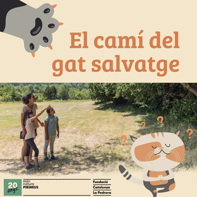 El camí del gat salvatge, MónNatura Pirineus, 2022 El camí del gat salvatge, MónNatura Pirineus, 2022