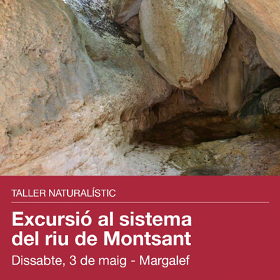Excursió al sistema del riu de Montsant, Parc Natural de la Serra de Montsant, 2025 Excursió al sistema del riu de Montsant, Parc Natural de la Serra de Montsant, 2025