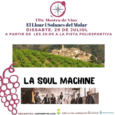 10a Mostra de Vins de la Vila del Lloar i les Solanes del Molar, 2023 10a Mostra de Vins de la Vila del Lloar i les Solanes del Molar, 2023