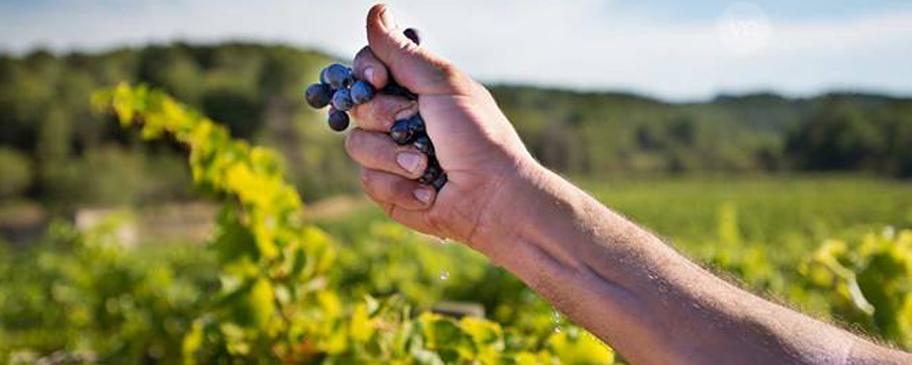 Imatge del documental 'Fermentación espontánea'