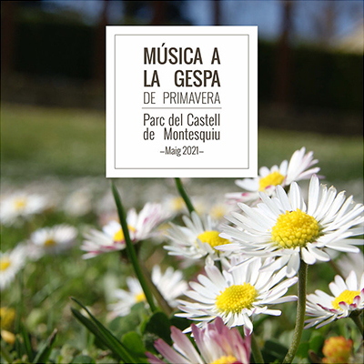 Música a la gespa Música a la gespa