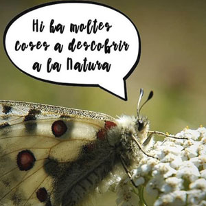 Sortida per observar la fauna i la flora