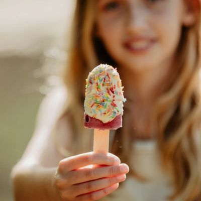 Operació Gelat al Món Sant Benet, Operació Gelat, Món Sant Benet, 2025