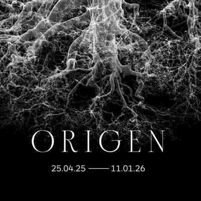 Exposició 'Origen', Museu de Lleida, 2025 Exposició 'Origen', Museu de Lleida, 2025