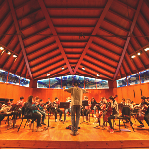 Orquestra d'avançat de l'Escola Municipal de Música Robert Gerhard