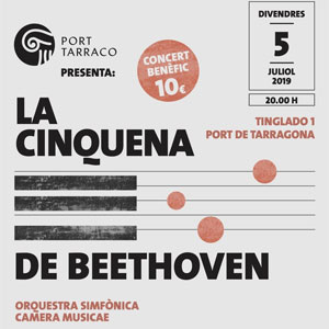 Concert de l'Orquestra Simfònica Camera Musicae