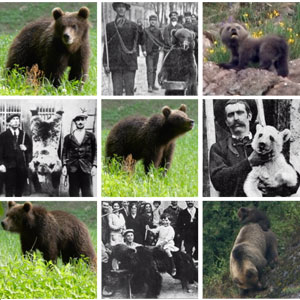 documental 'El retorno del oso' del realitzador de cinema de natura David Perpiñán