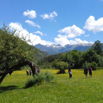 Sense perdre el nord, MónNatura Pirineus, 2020