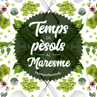 Jornades Gastronòmiques Temps de Pèsols al Maresme, 2024