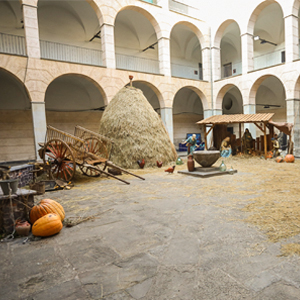 El naixement a l’era de l’Hospici a Olot, 2019, 2020