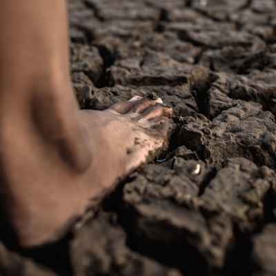 Exposició 'Peus a terra', Museu Terra, Fundació Carulla, 2024