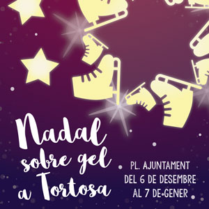 Pista de gel de les Terres de l'Ebre - Tortosa 2019