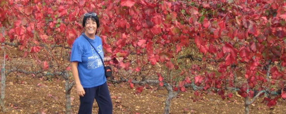 M. Pilar López (Piuà)
