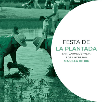 Festa de la Plantada a Sant Jaume d'Enveja 2024