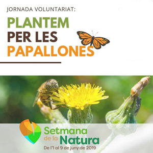 Jornada 'Plantem per les papallones' - Roquetes 2019 Jornada 'Plantem per les papallones' - Roquetes 2019