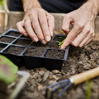 Planter, jardineria, Hort Planter, jardineria, Hort