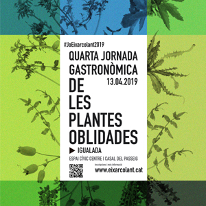 Plantes oblidades