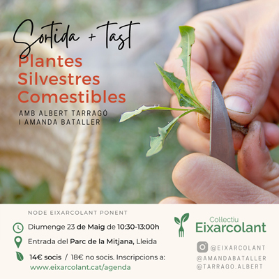 Sortida 'Herbes Silvestres Comestibles de la Mitjana, del camp a la taula', Eixarcolant Sortida 'Herbes Silvestres Comestibles de la Mitjana, del camp a la taula', Eixarcolant