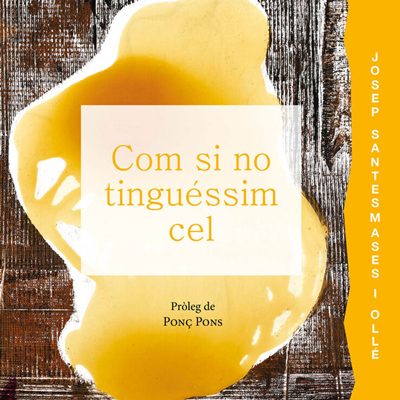 Poemari 'Com si no tinguéssim cel', de Josep Santesmases Poemari 'Com si no tinguéssim cel', de Josep Santesmases