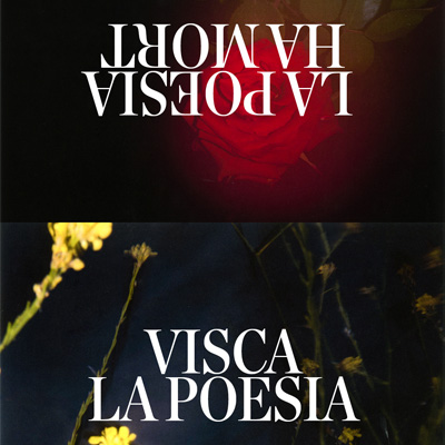 Poesia i + Poesia i +