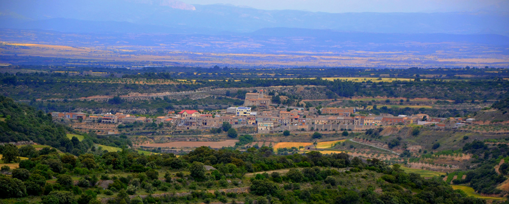 Montornès des de la Torre de l'Ametlla de Segarra