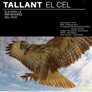 'Tallant el cel', el documental sobre els ocells rapinyaires del Foix 'Tallant el cel', el documental sobre els ocells rapinyaires del Foix