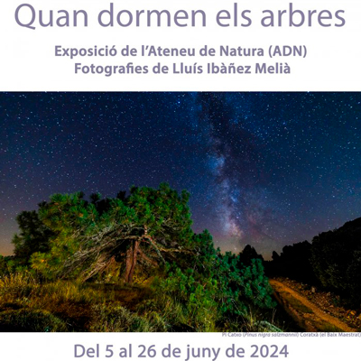Quan dormen els arbres - Campus Terres de l'Ebre URV 2024 Quan dormen els arbres - Campus Terres de l'Ebre URV 2024