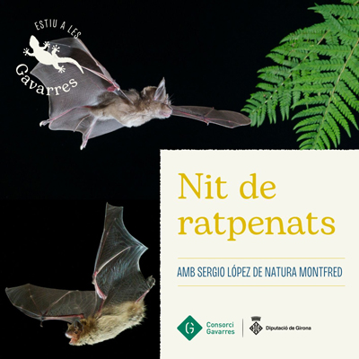 Nit de ratpenats a Vall-llobrega, Consorci de les Gavarres, 2025