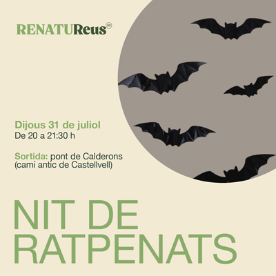 Nit de Ratpenats a Reus, 2025 Nit de Ratpenats a Reus, 2025