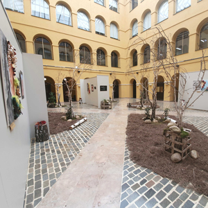Exposició 'Orgulloses de rebrotar' Exposició 'Orgulloses de rebrotar'
