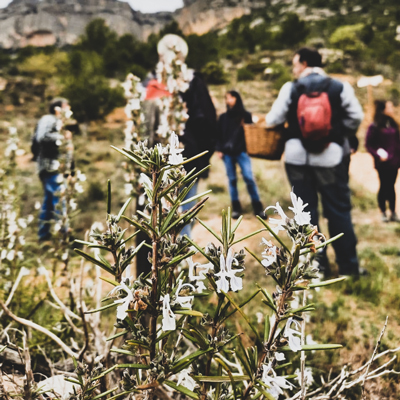 Excursió didàctica 'Els dons naturals, plantes per la vida', El Jardí de les Bruixes, Poboleda, 2023