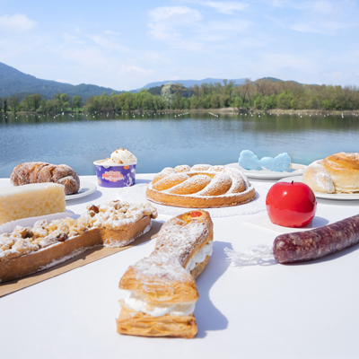 La ruta dolça, Museu Arqueològic de Banyoles, 2025 La ruta dolça, Museu Arqueològic de Banyoles, 2025