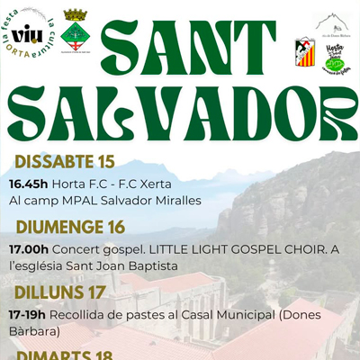 Festa de San Salvador - Horta de Sant Joan 2025