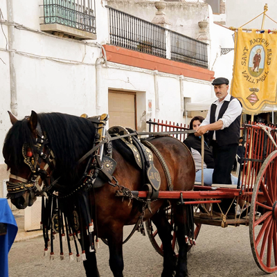 Sant Antoni a Valls, 2021 Sant Antoni a Valls, 2021