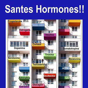 Conferència 'Santes hormones!' - Deltebre 2019 Conferència 'Santes hormones!' - Deltebre 2019