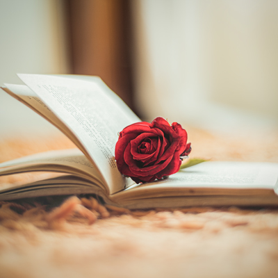Sant Jordi, Rosa, Llibre
