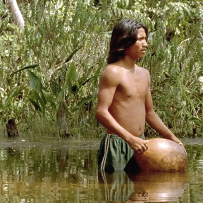 Pel·lícula 'El canto de la selva' Pel·lícula 'El canto de la selva'