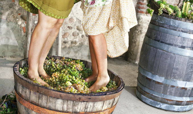 La Verema del Cava