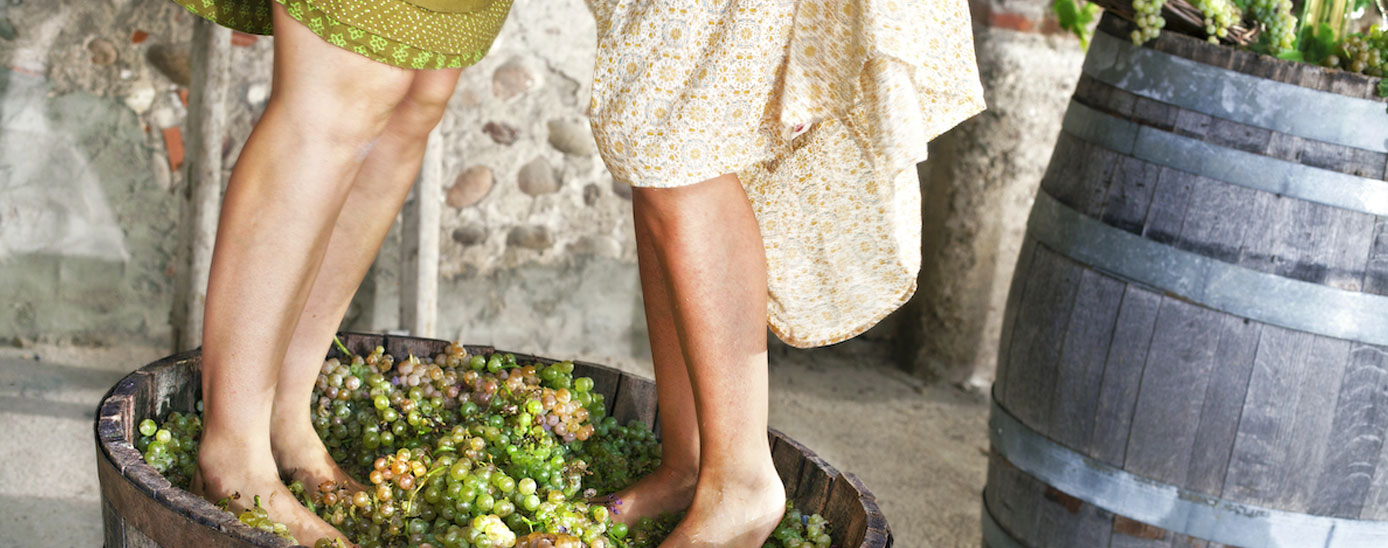 La Verema del Cava