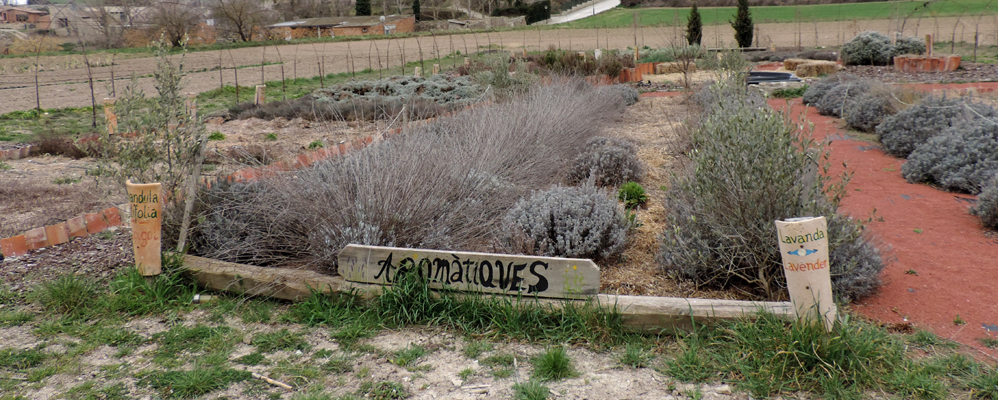 Parc de les Olors