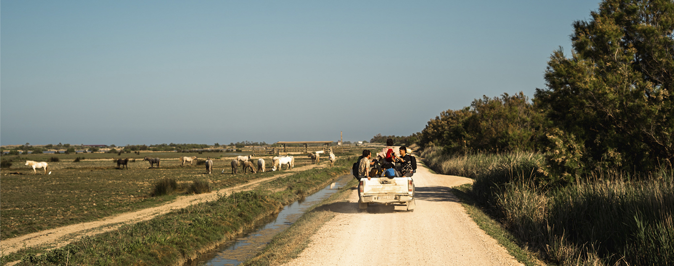 Caravena Delta Caravena Delta