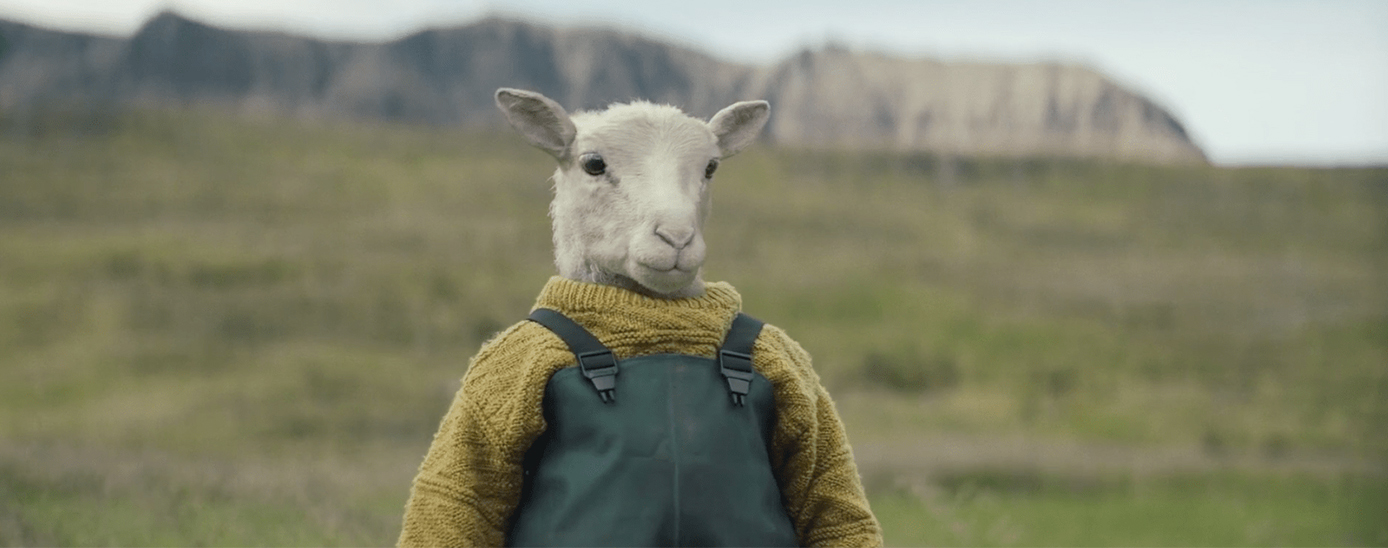 Lamb Lamb