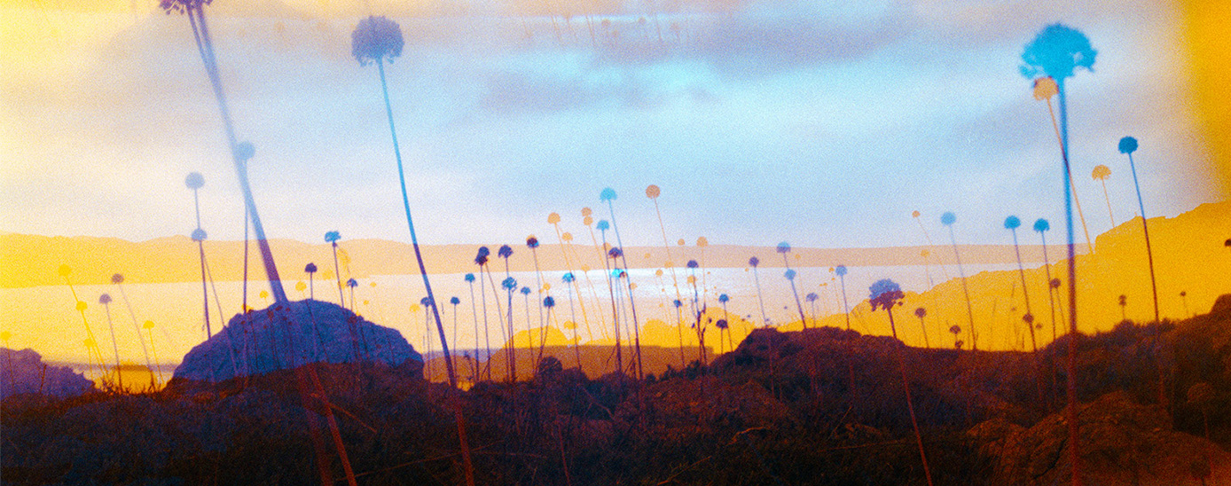 Festival Lumínic