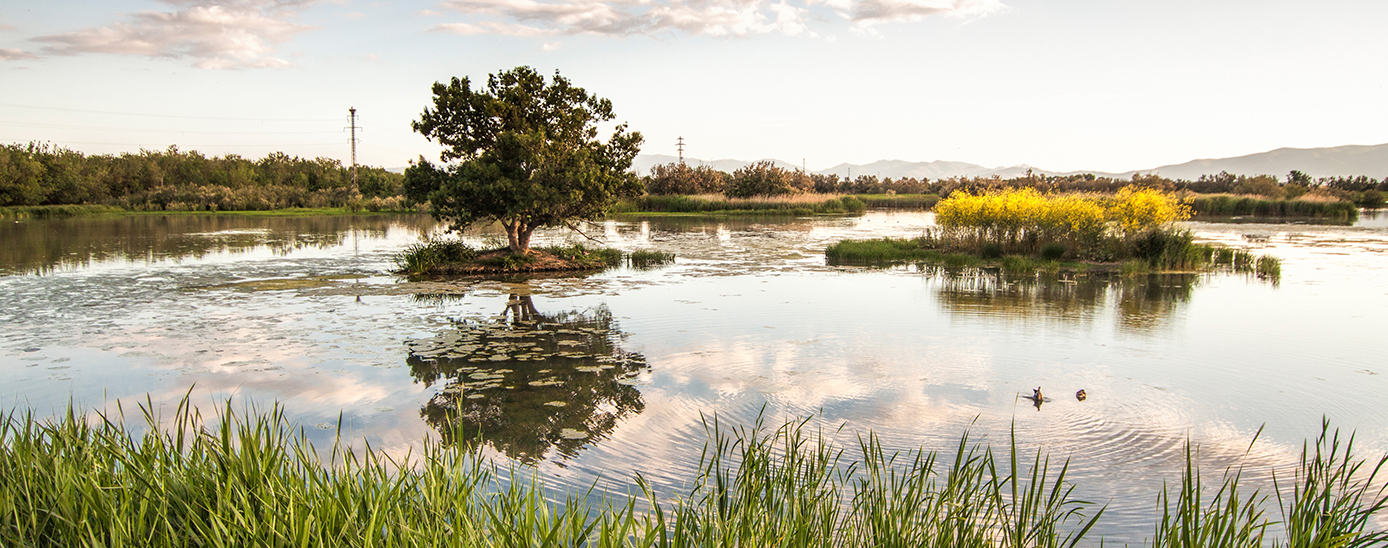 Aiguamolls de l'Empordà