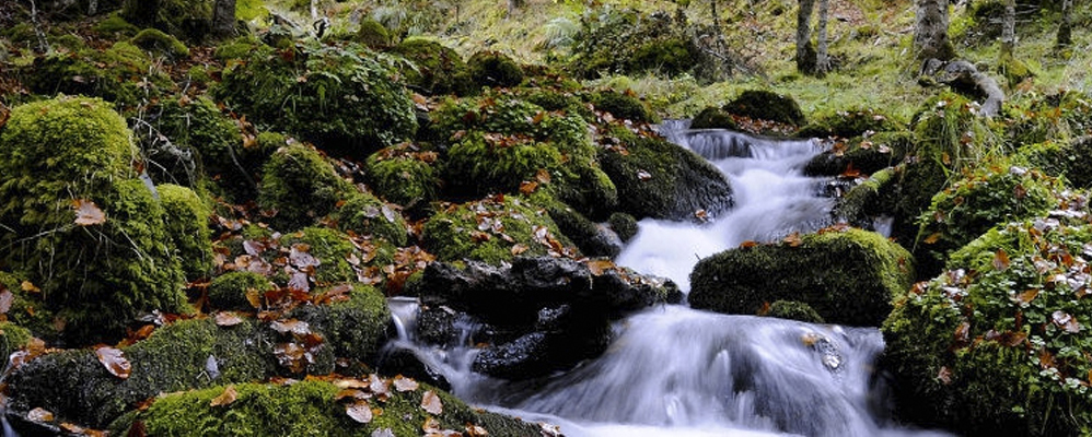Un dels racons que descobrim fent el Camin Reiau Un dels racons que descobrim fent el Camin Reiau