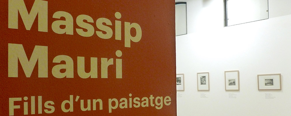 Massip i Mauri