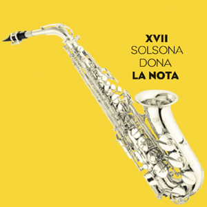 Solsona concerts estiu