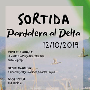 Sortida pardalera al Delta - L'Ampolla 2019